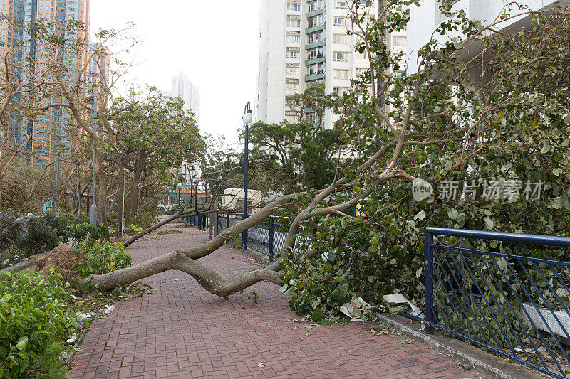 超级台风“山竹”抵达香港