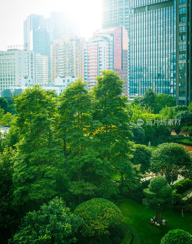 办公楼绿树成荫，城市公园绿树成荫