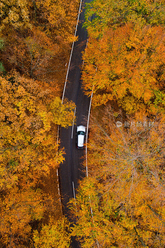 鸟瞰图一辆车行驶在五颜六色的秋天森林的乡村道路上