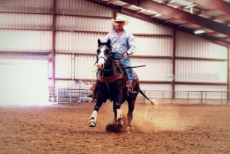 一个在室内竞技场训练他的马的现代牛仔