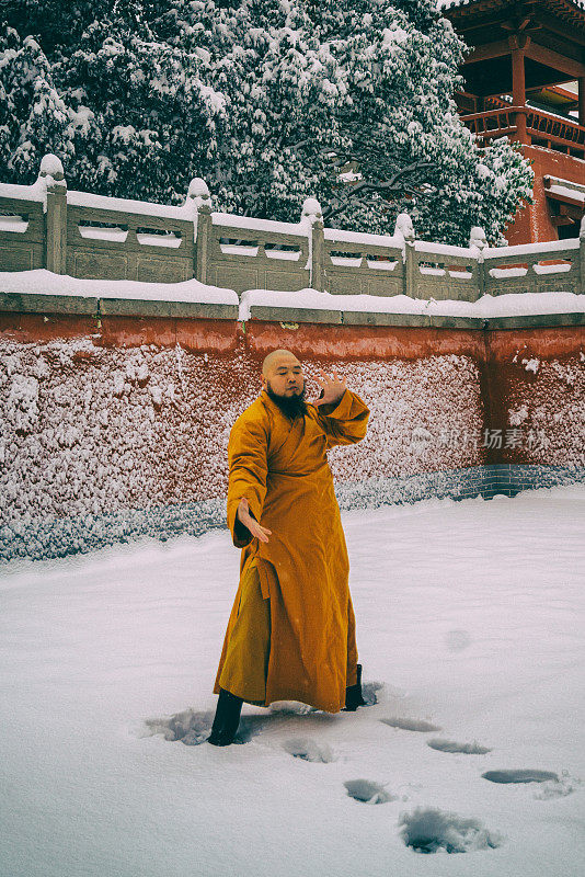 中国少林寺功夫武僧