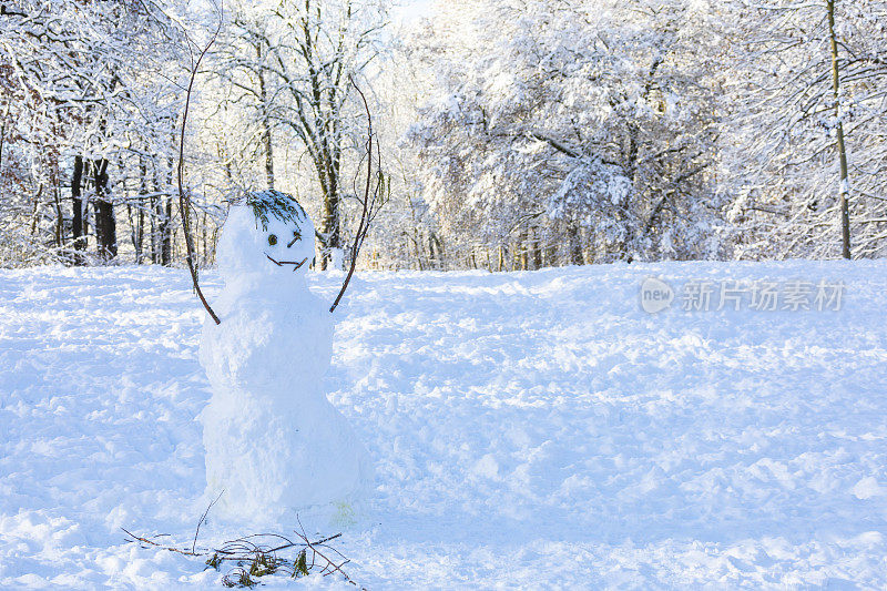 开姆尼茨城市公园清晨的冬日印象和雪人