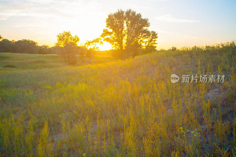 夕阳在草原间静谧，黄昏的自然背景