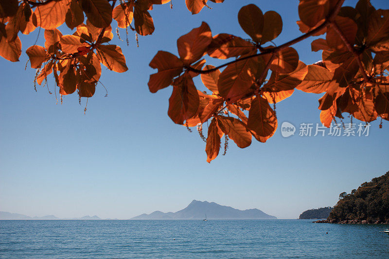 地平线上的大海-里约热内卢-巴西