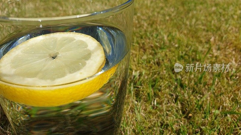 柠檬片在一杯水，以草为背景