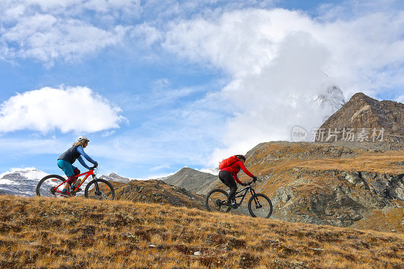 山地自行车手穿过马特洪山下面的高山草地