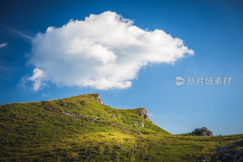 在艾因省的大哥伦比亚山的山顶上有美丽的绿色草地，背景是晴朗的蓝天和夏天的一些云