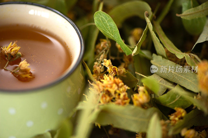 一杯菩提叶花草茶