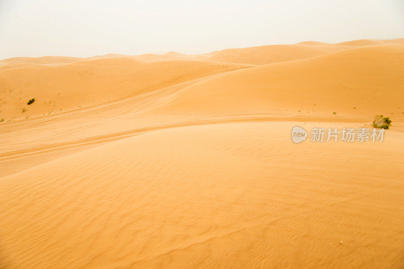 以海浪为背景