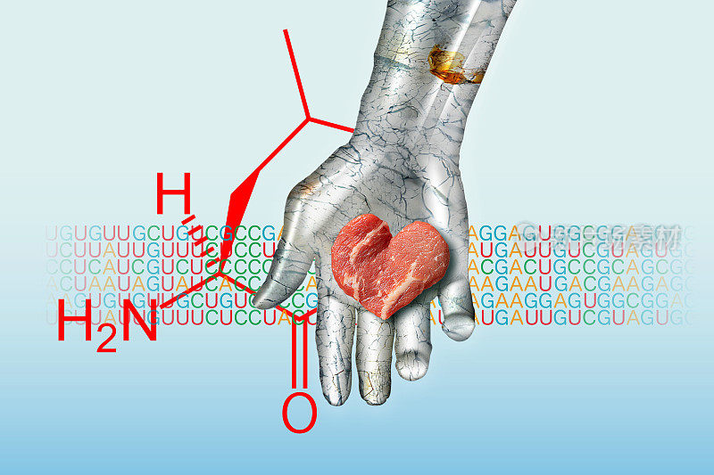 心形的人造肉被放置在金属机器人的手掌上。背景为mRNA编码、氨基酸化学式和浅蓝色级配。
