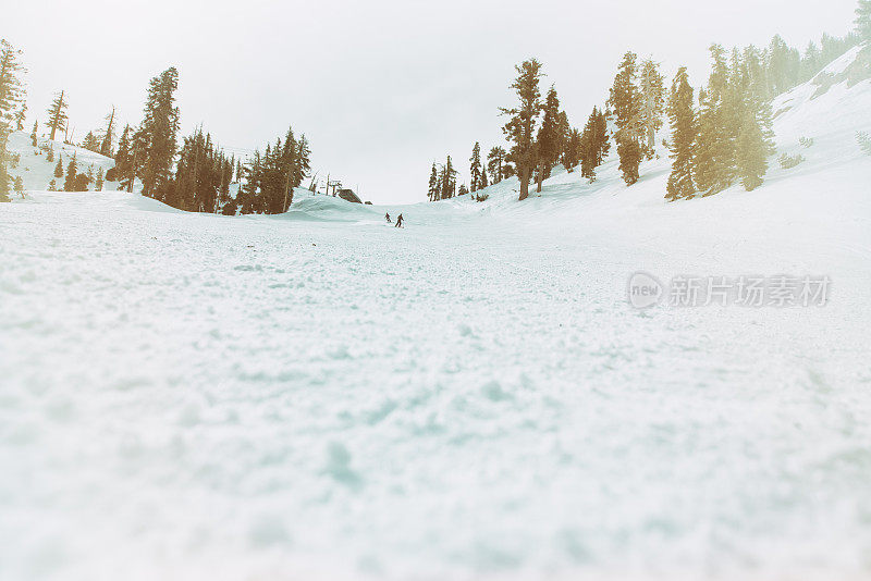 一群朋友一起滑雪