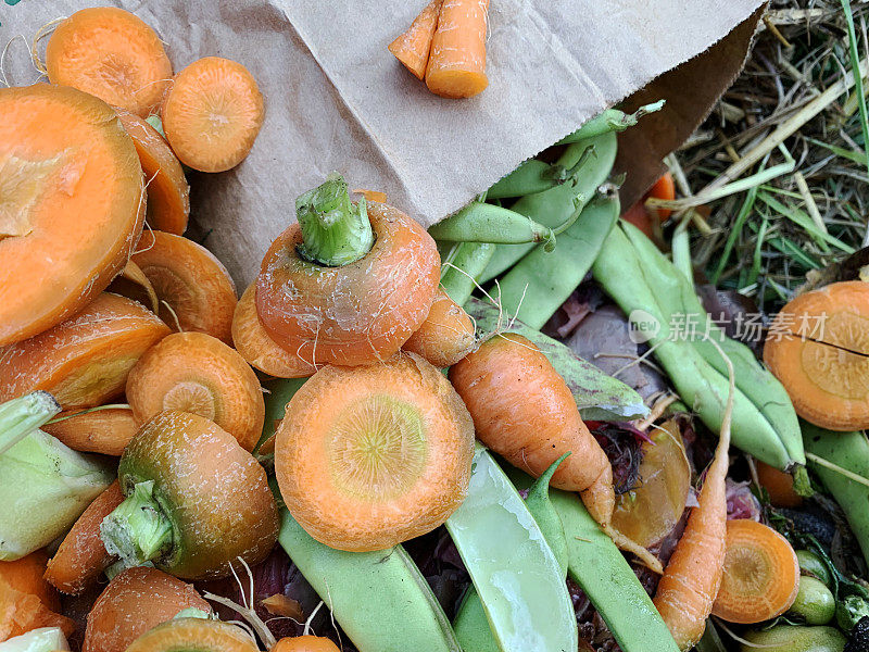 蔬菜、食物垃圾和剪下的草屑在后院的垃圾箱里堆肥