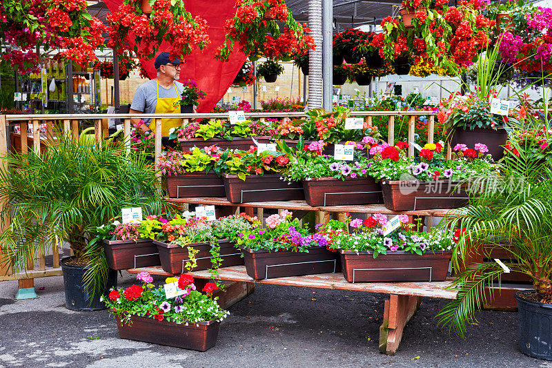 五颜六色的花和花店在阿特沃特花市