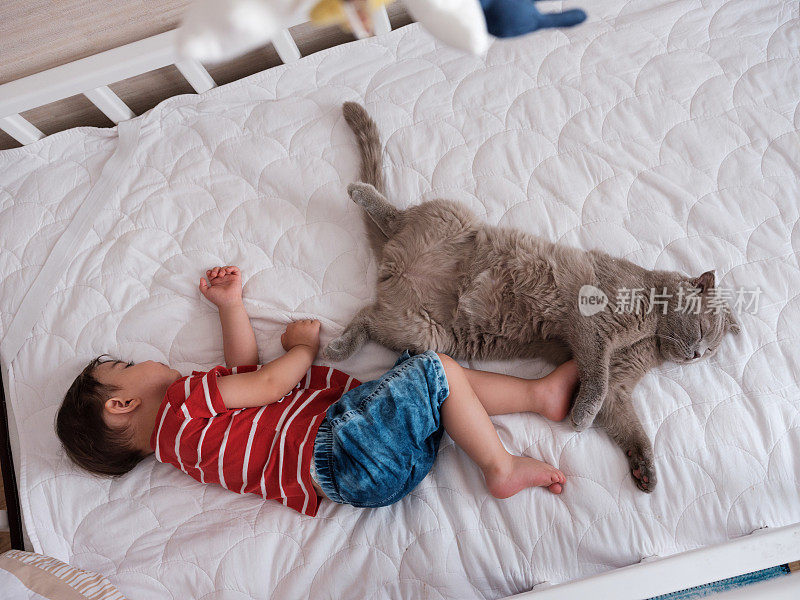 小男孩和猫睡在一起