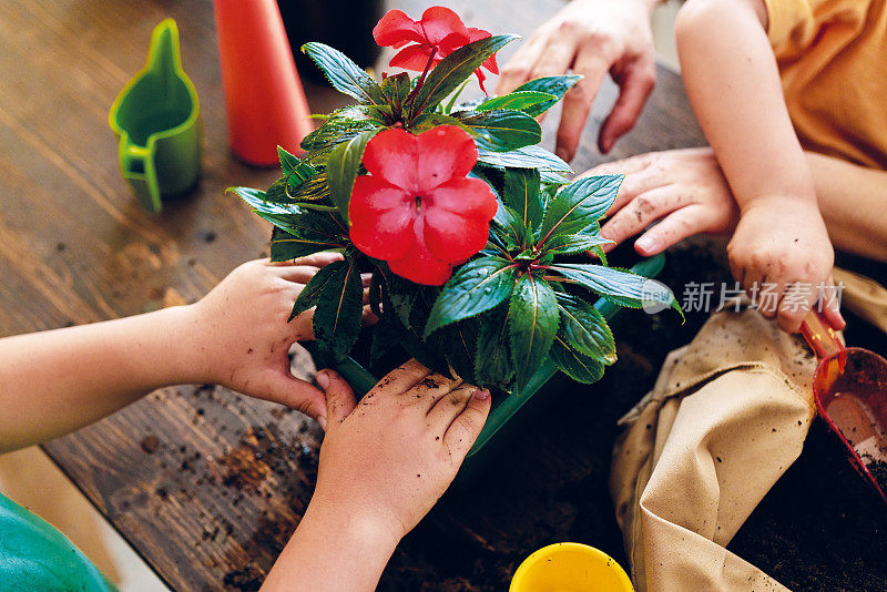 母亲和孩子在家里种植