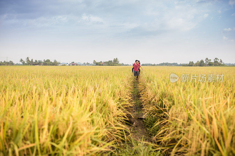 一个成熟的中国父亲背着女儿在稻田里