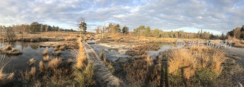 湿地全景