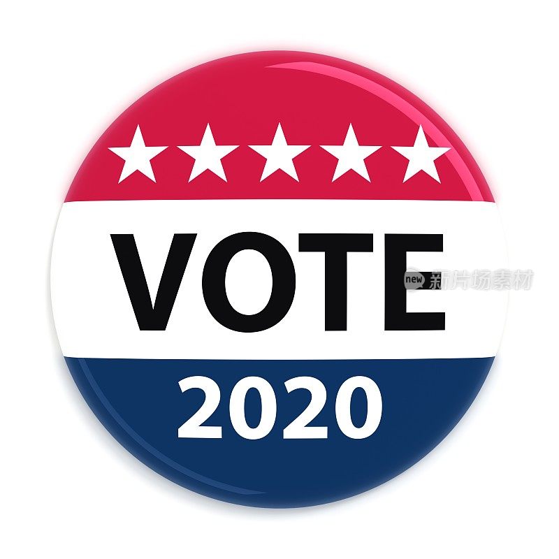 美国2020年大选投票徽章
