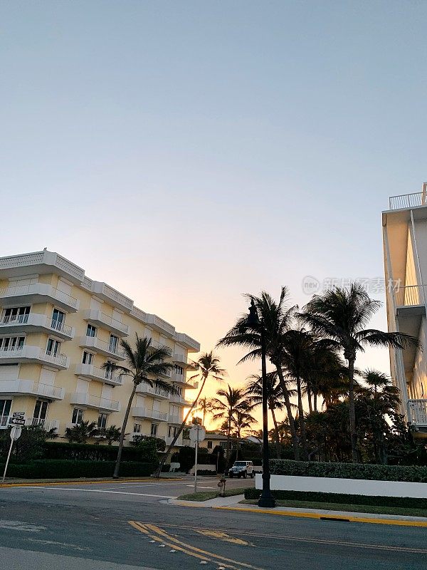 佛罗里达棕榈滩日落天空前的棕榈树