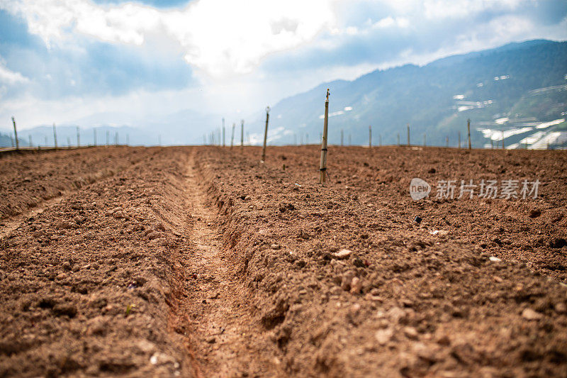 新翻耕面积和准备种植。农场里的泥土