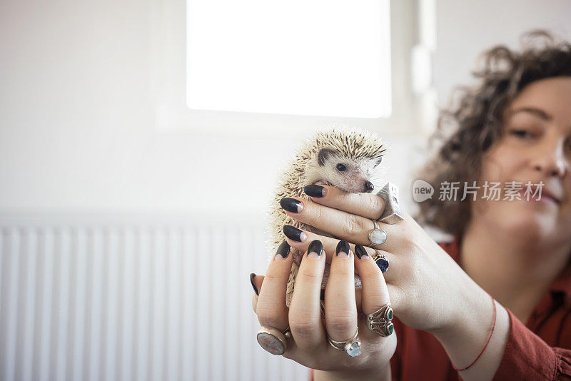 女人抱着她的宠物刺猬