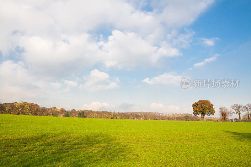 埃森南部鲁尔附近鲁尔山谷的田野和景观