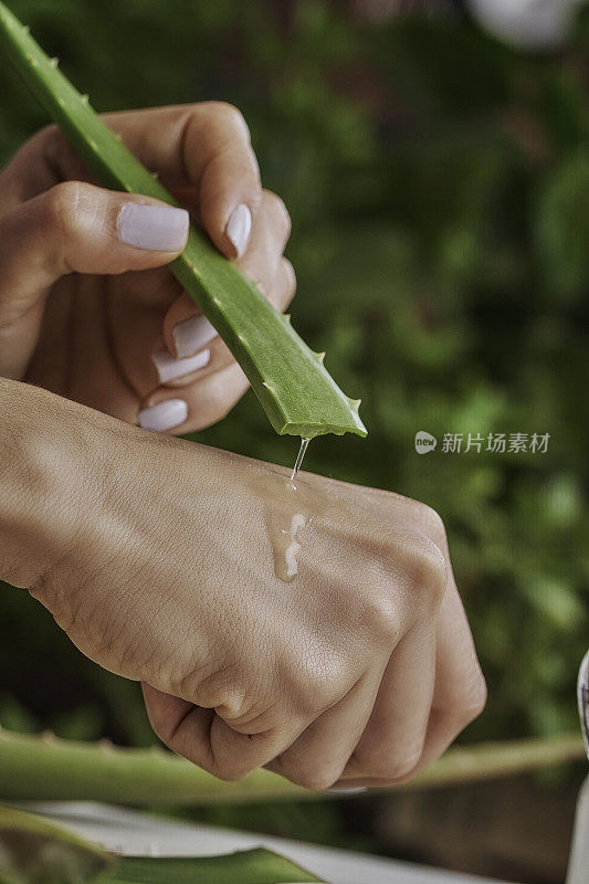 年轻女子用天然芦荟凝胶滋润她的双手