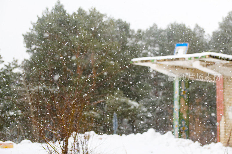 离焦抽象模糊的冬季背景。老式公交站在暴风雪中。寒冷的霜冻天气。天然松树背景。坏天气。灾难。的焦点
