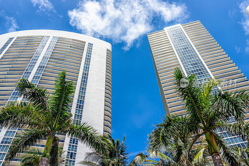 在佛罗里达州哈兰代尔海滩的迈阿密公寓大厦，棕榈树在阳光明媚的一天，蓝天俯瞰低角度的城市景观