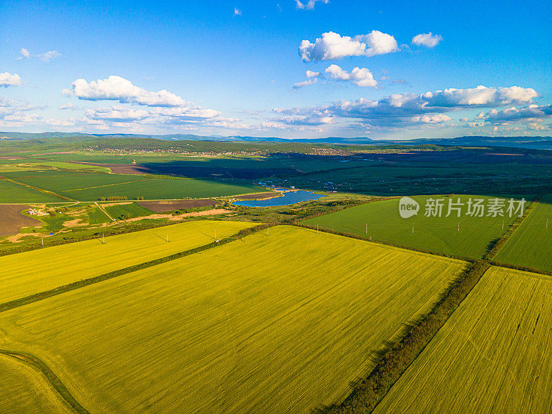 从上面看到的油菜地和绿色的田野。黄色的田野上蓝天白云。油菜籽田里的一个湖。黄色和绿色的田野。一个美丽的景观。