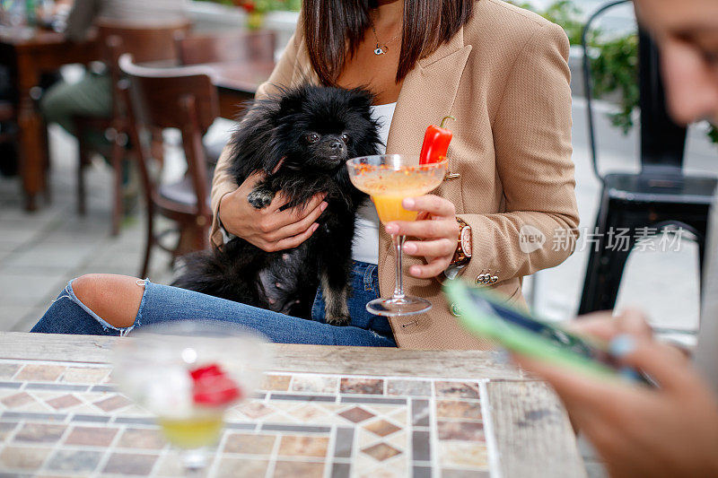 黑博美犬在主人的怀里，女人在咖啡馆喝鸡尾酒