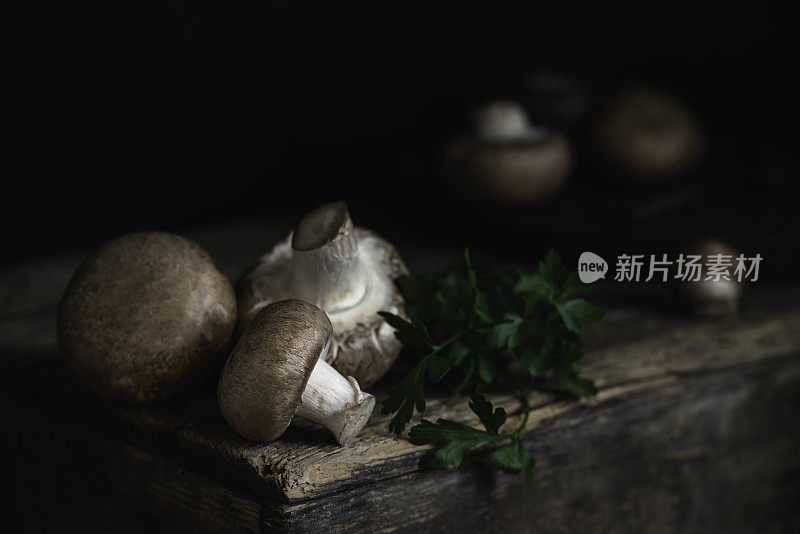 新鲜的蘑菇在黑暗的乡村背景
