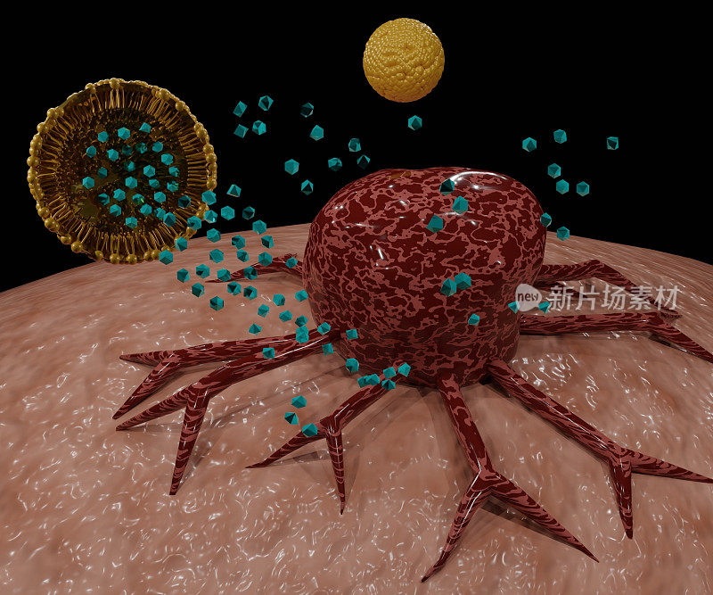 脂质体内的纳米药物包裹靶向癌细胞
