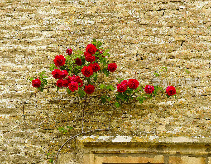 Bibury,英格兰