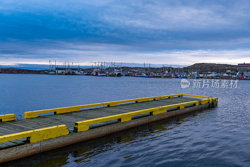 加拿大，Twillingate，港口和渔船的早晨