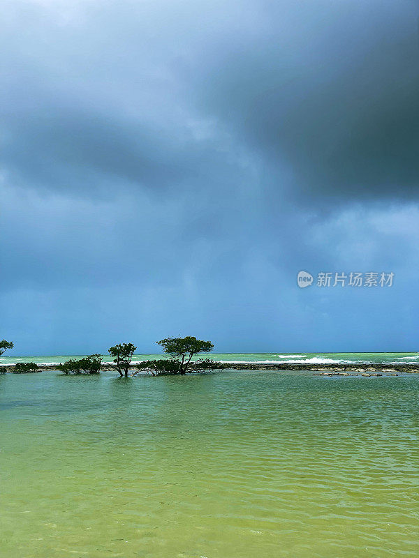 夏天的雨在海上。