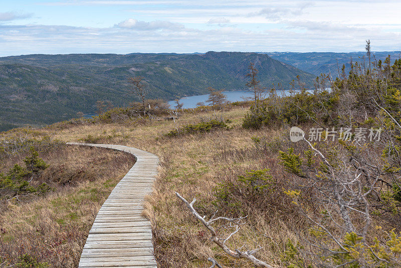 格罗斯莫恩国家公园瞭望山步道，邦尼湾，纽芬兰和拉布拉多