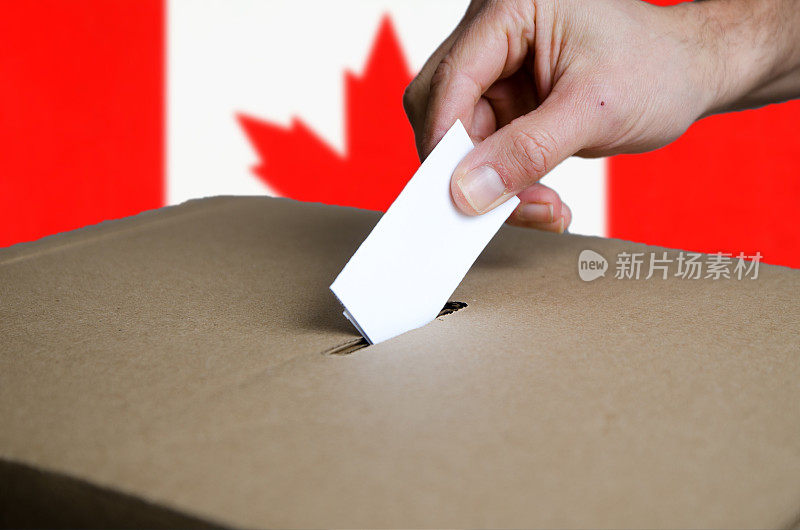 将加拿大投票卡放入投票箱
