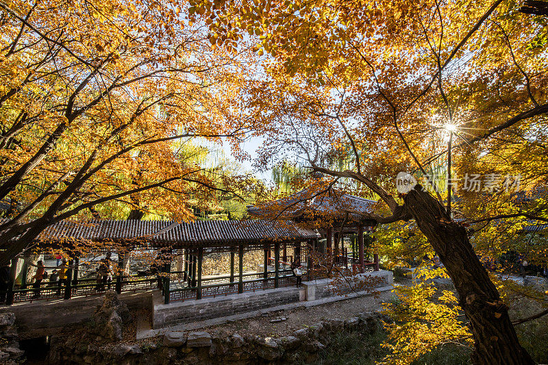 北京的颐和园。秋天