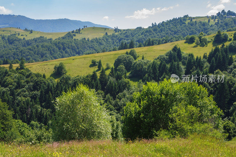 喀尔巴阡山脉的乡村，山林茂密