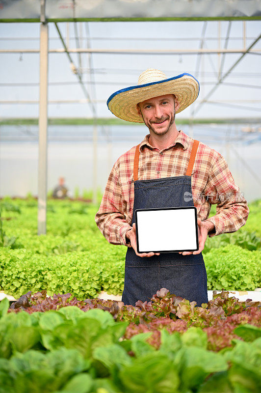 一个快乐的白人男性农民在水培温室里拿着一个平板模型。