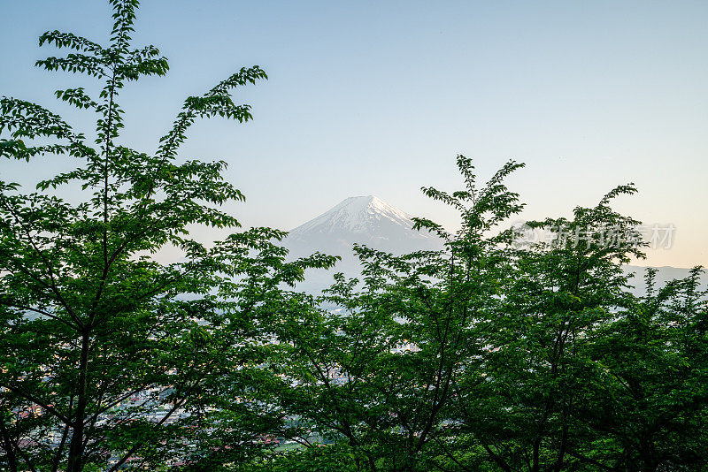 春天的富士山