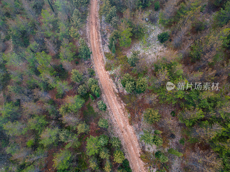 林地中土路景观的航拍