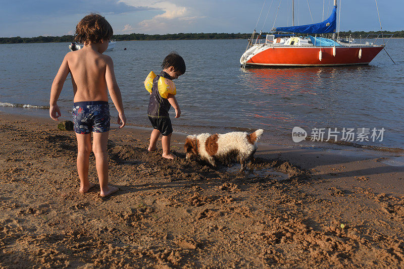 孩子们带着宠物在海滩上