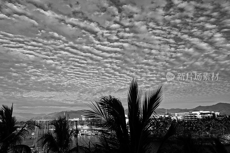 热带港口的黑白景色，荡漾的云朵和棕榈树。