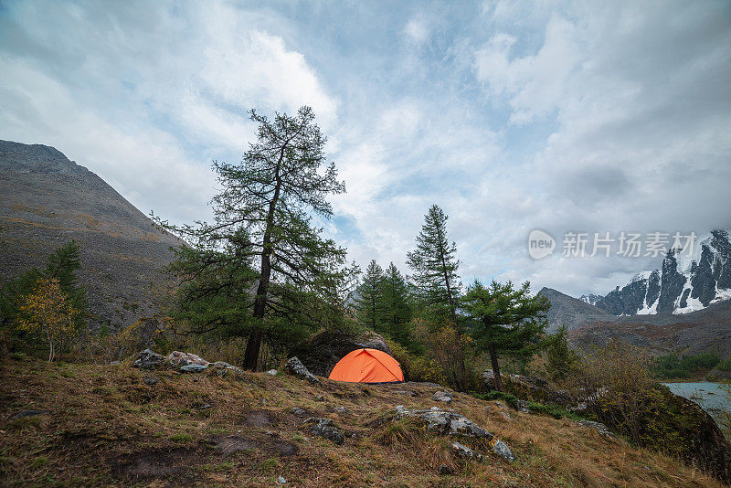 戏剧性的景观，在岩石和秋天的植物群中，在森林山上有一个橙色的帐篷，在多云的天空下，可以看到大的雪山。高高的山上，孤独的帐篷和褪色的秋色。