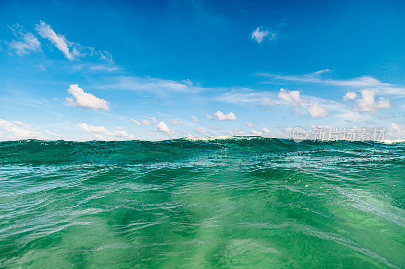 海洋风景优美，水下有海天浪，海滩有佛罗里达棕榈滩