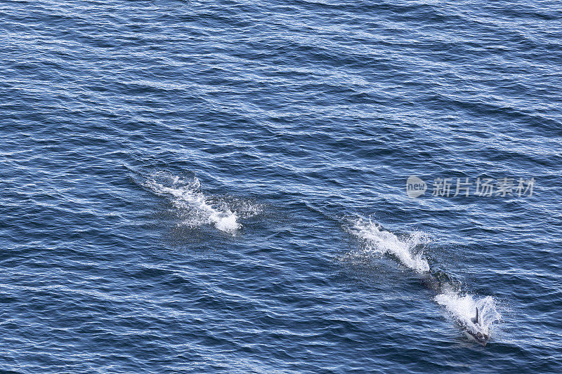 乌斯怀亚和火地岛，阿根廷