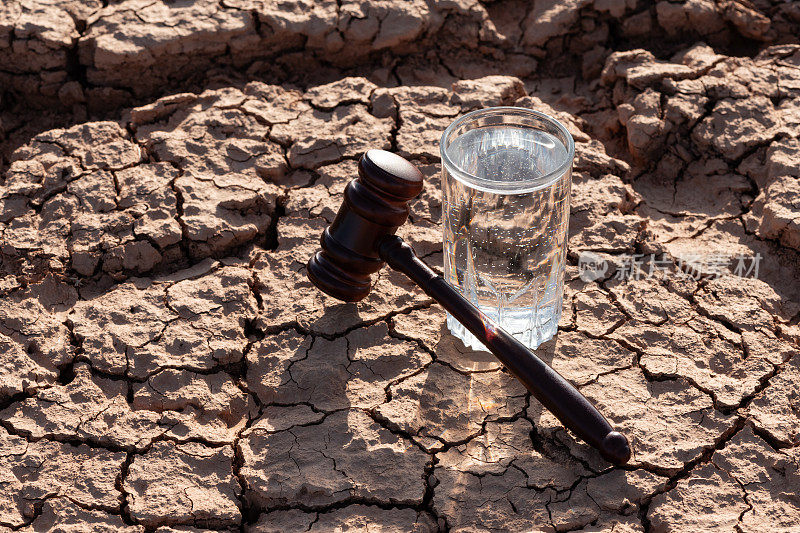 一杯干净的水和一把法官用的小木槌敲打着沙漠里热裂的粘土