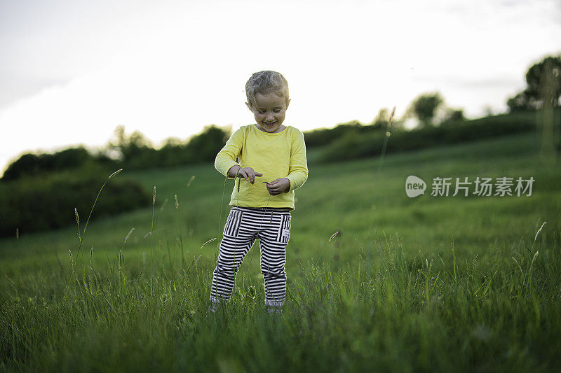 阳光下的乐趣。日落时自然的快乐孩子，复制空间。